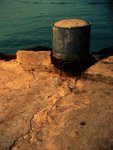 IMG_3313