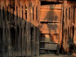 IMG_3326