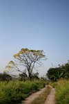 IMG_1114