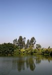 IMG_1118