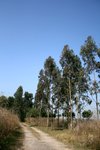IMG_1126