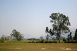 IMG_1133