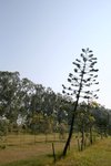 IMG_1134