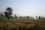 IMG_1151