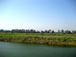 IMG_3368