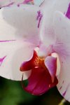 IMG_1834