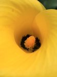IMG_1853