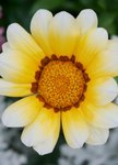 IMG_1880