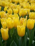 IMG_1920