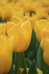 IMG_1923
