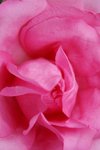 IMG_1962