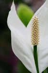 IMG_2657