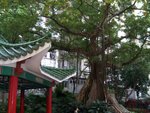 Kln_HKIsland_Trip106