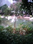 Kln_HKIsland_Trip187