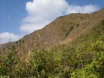 PatSinLeng019