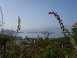 PatSinLeng024