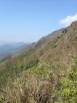 PatSinLeng025