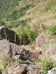 PatSinLeng041