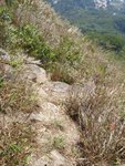 PatSinLeng050