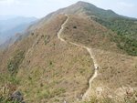 PatSinLeng056