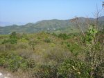 PatSinLeng088