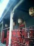 Yau-Tsim-Mong Tour 07