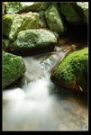 IMG_5730