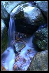 IMG_5735