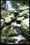 IMG_5754