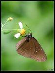 IMG_0084