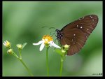 IMG_0089