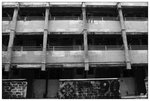 IMG_4929