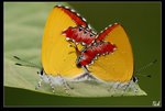 IMG_5079