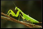 IMG_5377