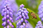 IMG_7169