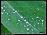 IMG_9661