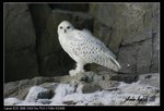 IMG_9715