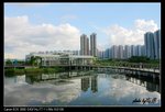 IMG_9785