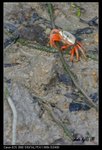 IMG_9799