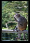 IMG_8508