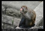 IMG_8509