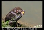 IMG_8585