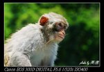 IMG_8594
