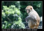 IMG_8603