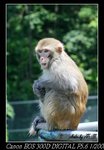IMG_8606