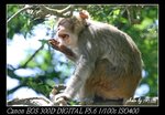 IMG_8811