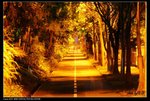IMG_0401