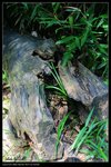 IMG_0445