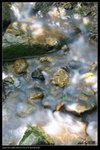 IMG_0450