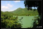 IMG_0453